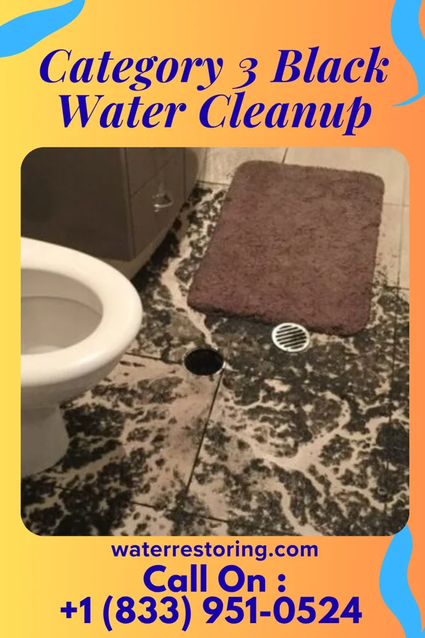 Category 3 Black Water Cleanup in Oil City, LA