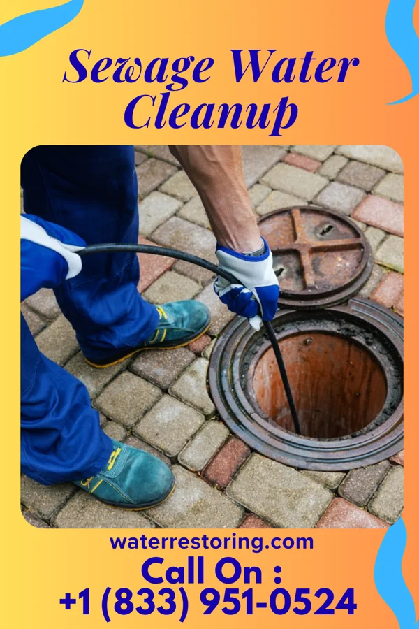 Sewage Water Cleanup in Oil City, LA