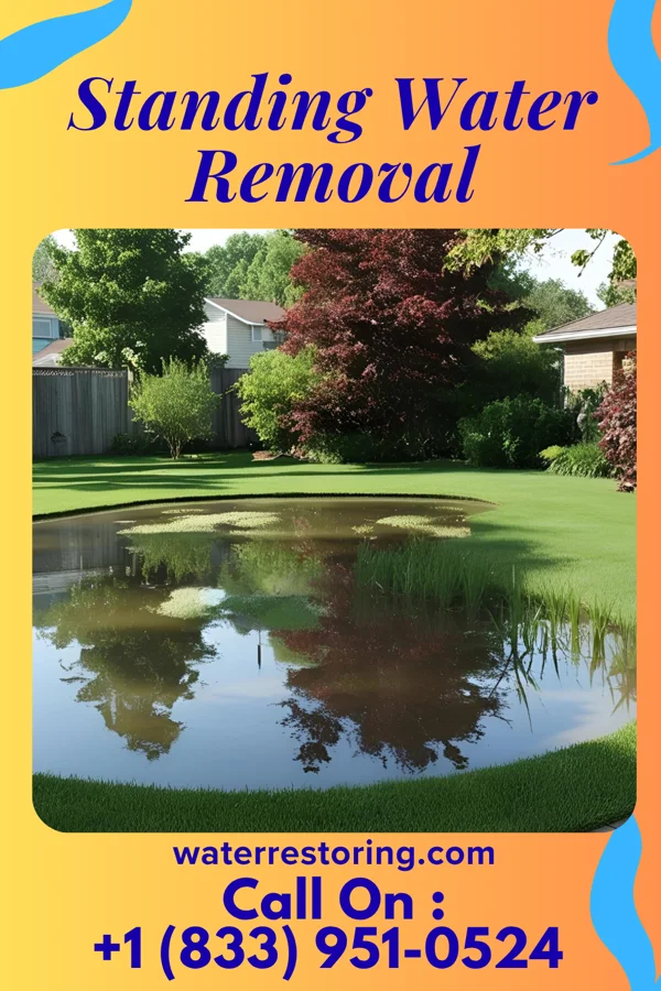 Standing Water Removal in Oil City, LA
